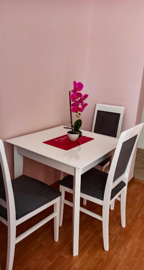 Forest Apartment Budva